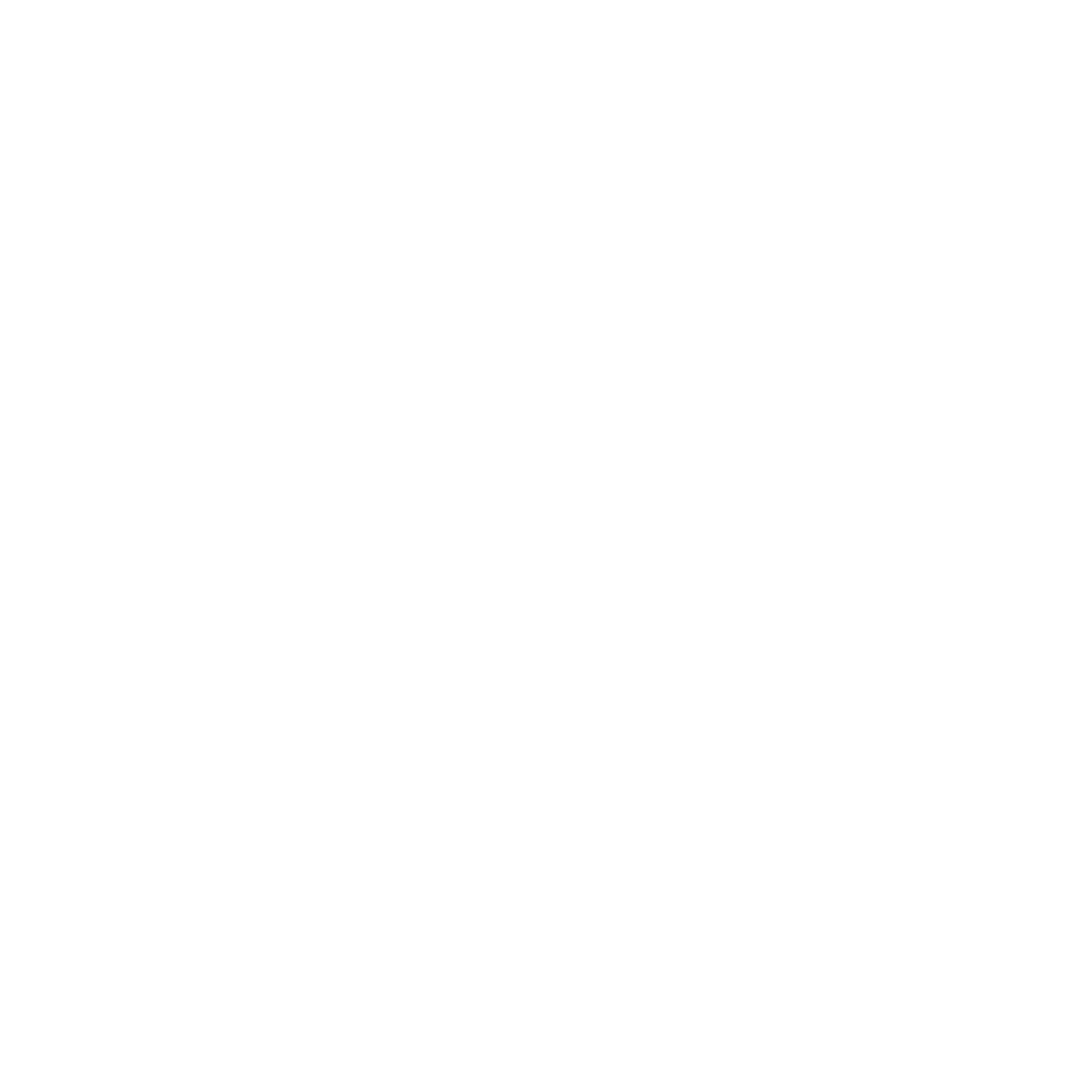 BWLX25 Logo Circles