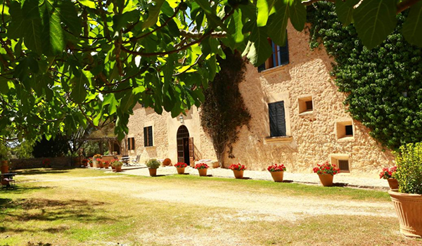 tours-S.A.L.T. Manor House & Winery Experience